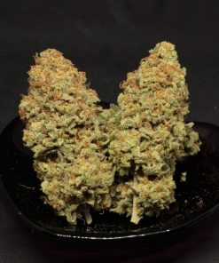 Pineapple Express Feminized Esrar Tohumu (G13 Labs)