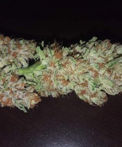 Purple Majik R1 Feminized Esrar Tohumu (ETHOS Genetics)