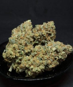 Purple Sunset Feminized Esrar Tohumu (ETHOS Genetics)