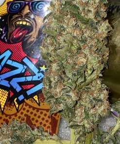 Ripper Badazz Feminized Esrar Tohumu (Ripper Seeds)