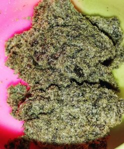 Sensi Skunk Feminized Esrar Tohumu (Sensi Seeds)
