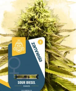 Sour Diesel Feminized Esrar Tohumu (Zamnesia Seeds)