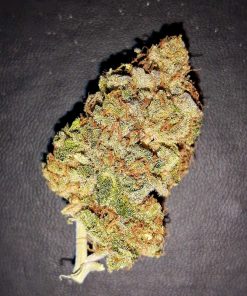 Space Cookies Feminized Esrar Tohumu (Paradise Seeds)