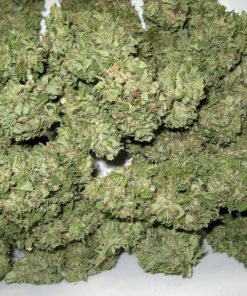 The OG #18 Feminized Esrar Tohumu (Reserva Privada)