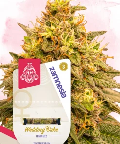 Wedding Cake Feminized Esrar Tohumu (Zamnesia Seeds)