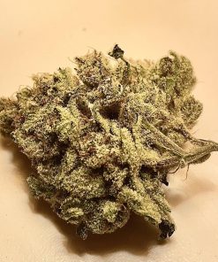 White Fire OG Feminized Esrar Tohumu (Growers Choice)