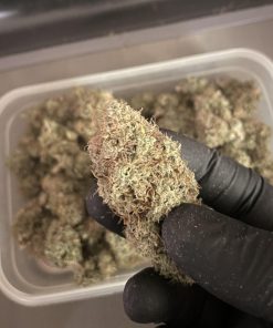 White Fire OG Feminized Esrar Tohumu (Growers Choice)