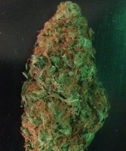 White Widow Feminized Esrar Tohumu (Growers Choice Seeds)