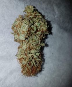 White Widow () Feminized Esrar Tohumu (ILGM)