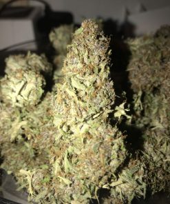 Zkittlez Feminized Esrar Tohumu (ILGM)